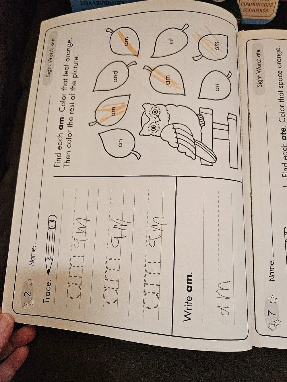 NEW GRADE 1   3 WORKBOOKS LOT